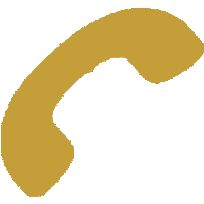 Phone icon